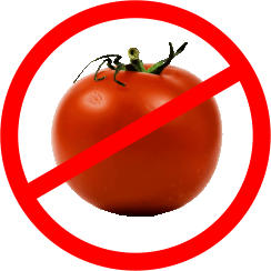 no tomatoes image